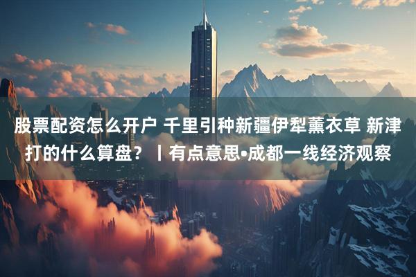 股票配资怎么开户 千里引种新疆伊犁薰衣草 新津打的什么算盘？丨有点意思•成都一线经济观察
